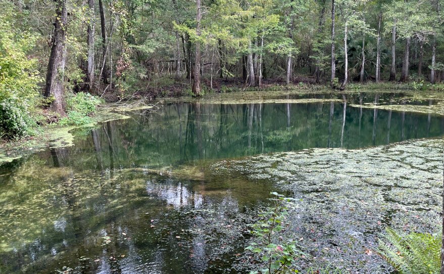 Natural Bridge Battlefield Historic State Park, Florida, USA